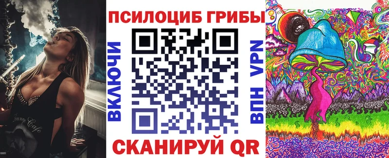 Купить  Северодвинск  Псилоцибиновые грибы Psilocybine cubensis 